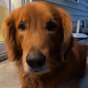 Meet your Posher, Ashley brooke